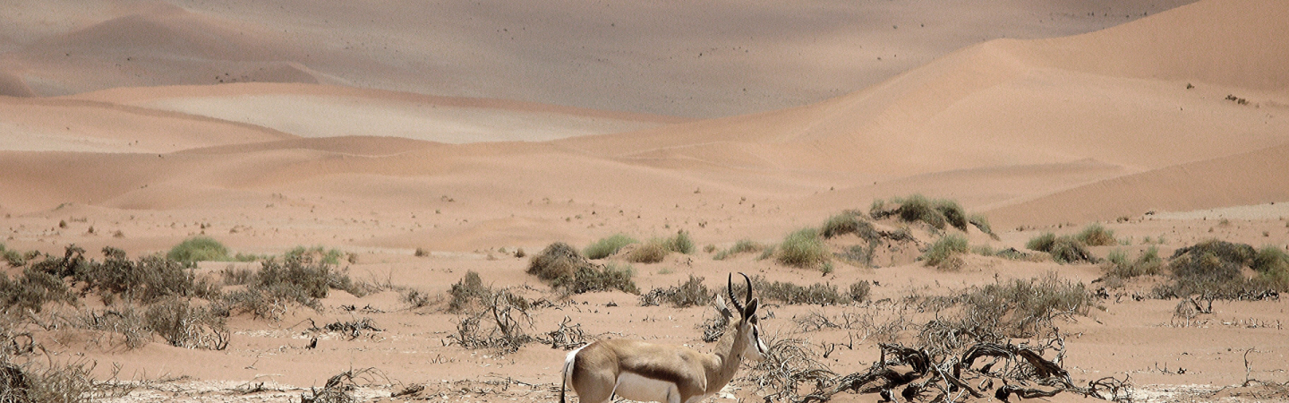 Namibia: Sustainable tourism development through leadership
